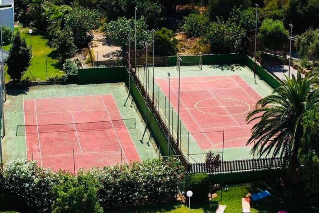 Verano Eterno En Mallorca - Alcudia! Esterno foto