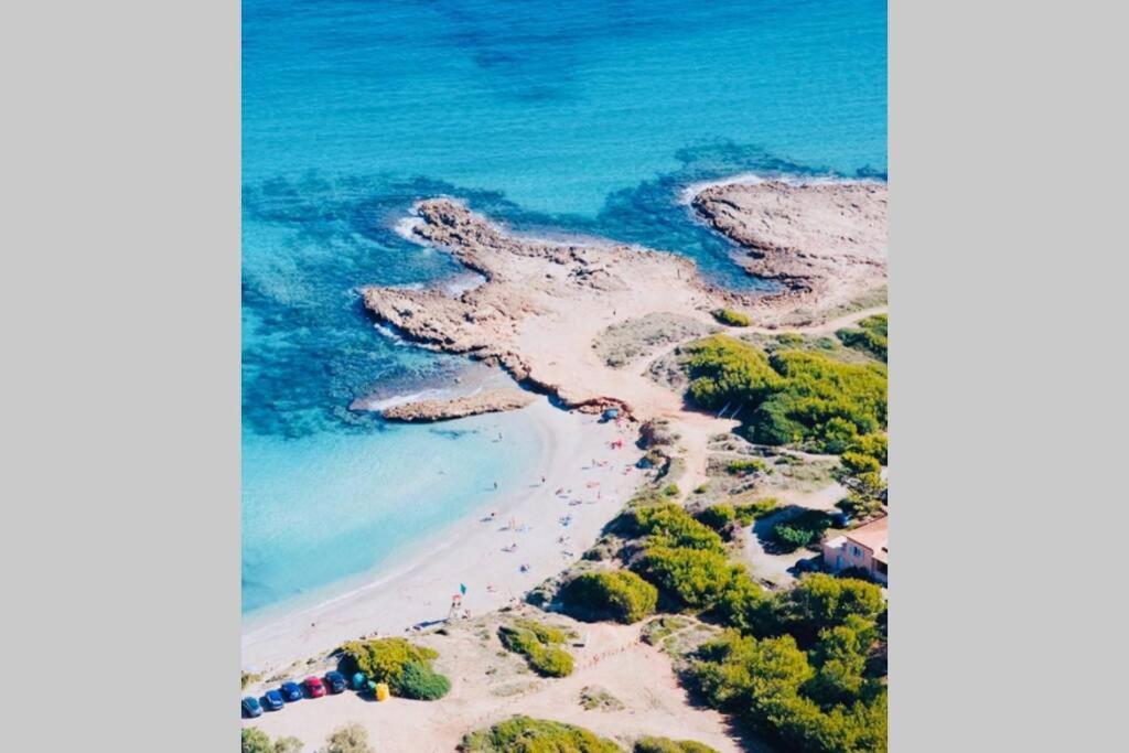 Verano Eterno En Mallorca - Alcudia! Esterno foto
